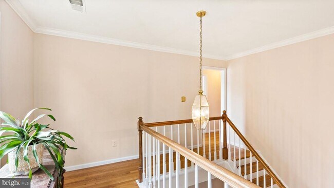 Building Photo - 12810 Mill Meadow Ct