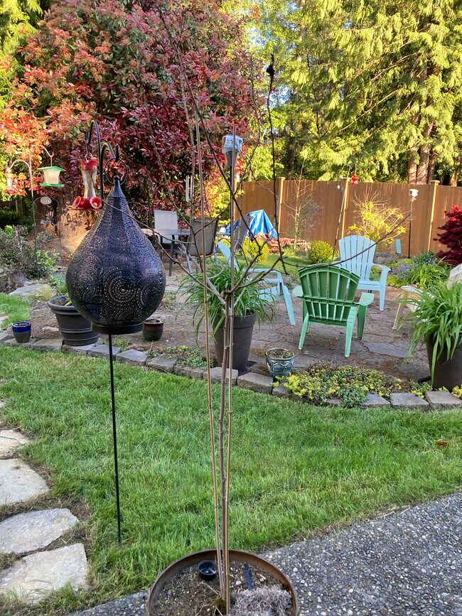 view from den/ or patio - 14217 55th Ave SE