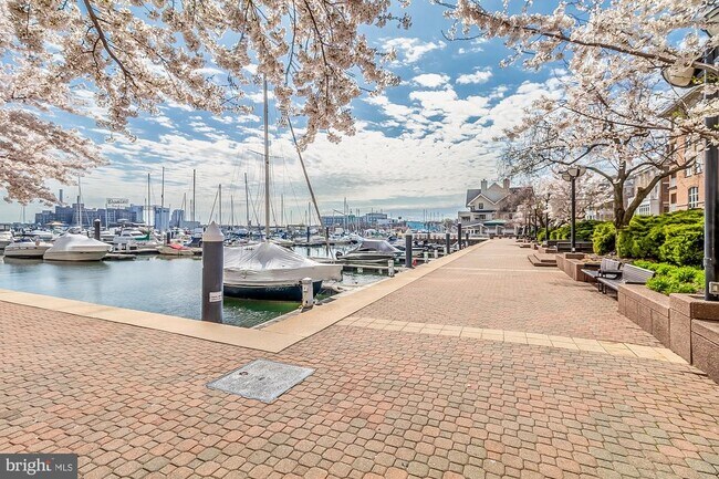 Building Photo - 100 Harborview Dr