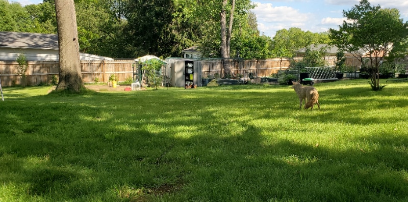 Building Photo - 308 Prospect Dr SW