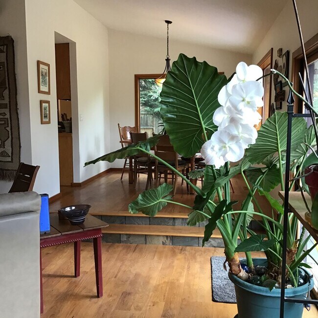 Building Photo - SEASONAL FURNISHED SHORT TERM RENTAL Offering Great Vibe! ALL UTILITIES PAID BY THE SELLER...