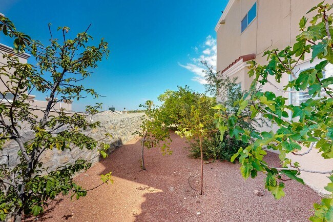 Building Photo - 6017 Ojo De Agua Dr