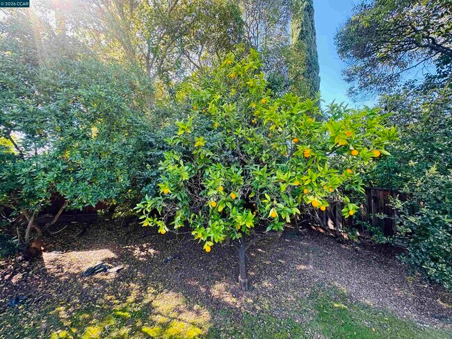 Building Photo - 103 Castle Rock Rd