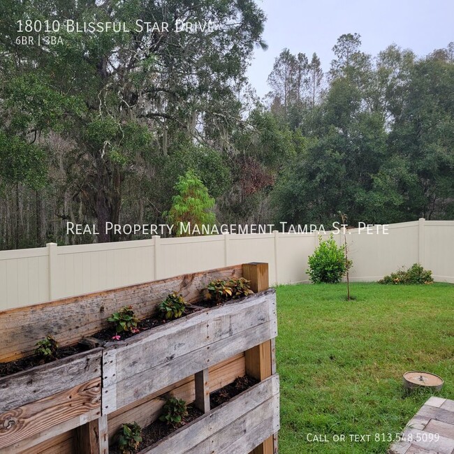 Building Photo - 18010 Blissful Stars Dr