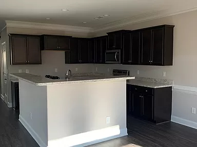 Building Photo - 851 Silver Leaf Dr
