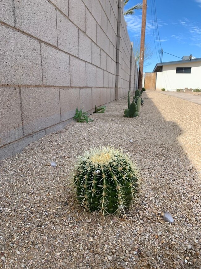 Building Photo - Herradura Villas-1008 (1&amp;2)