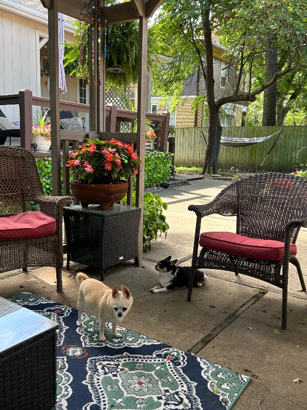 Building Photo - 940 S Cedar St