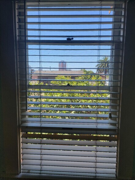 bedroom back city view window - 642 W 8th St