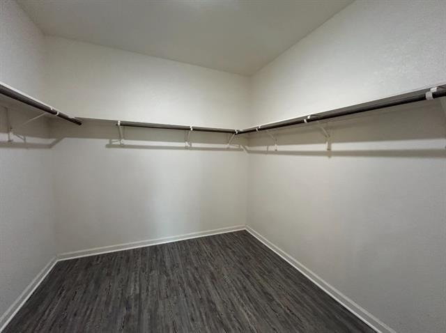 Building Photo - 2617 Salado Creek Ln