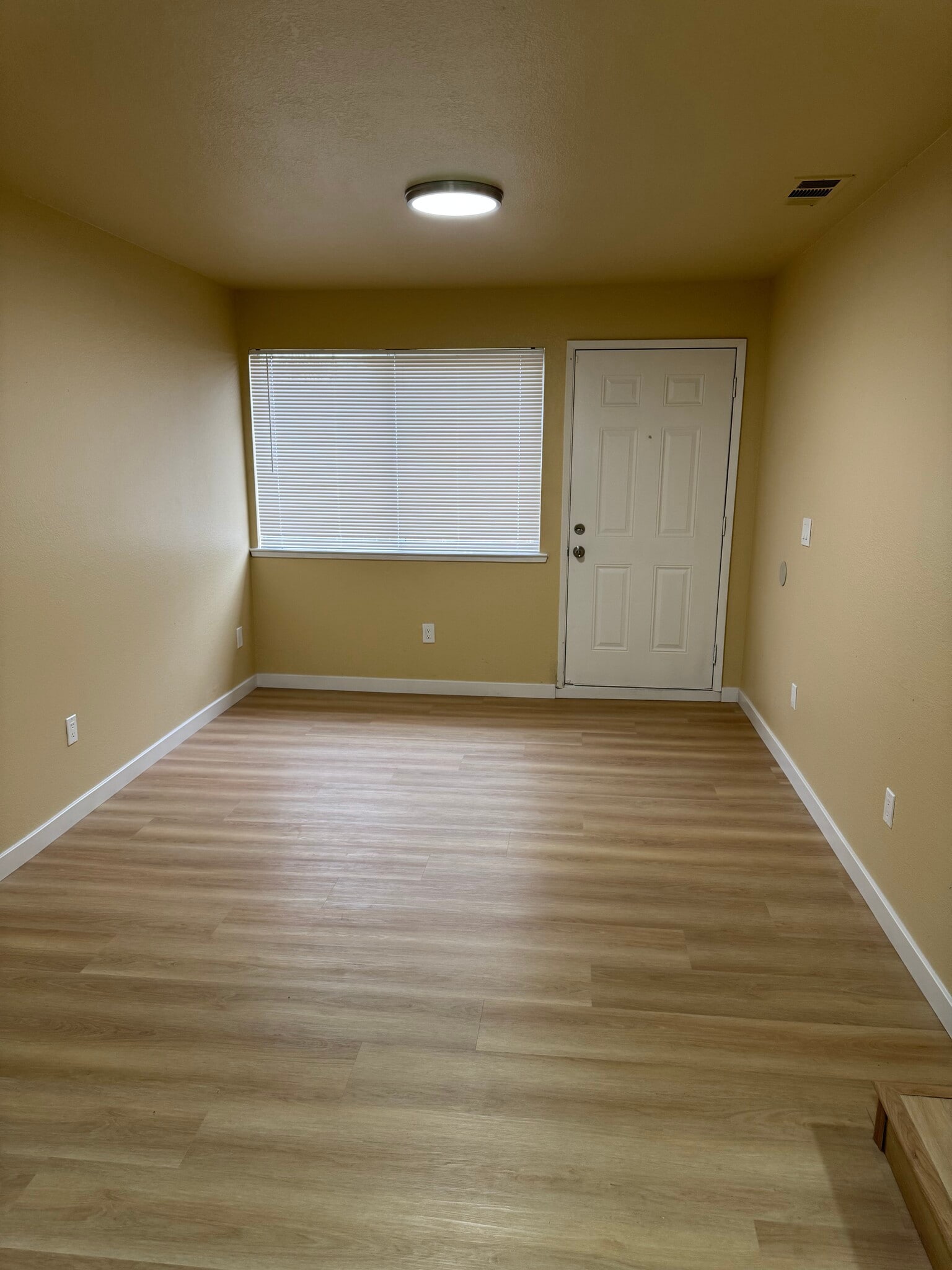 back family area - 2227 16th Ave