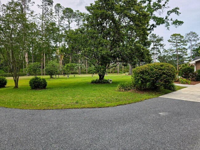 Building Photo - Peaceful paradise