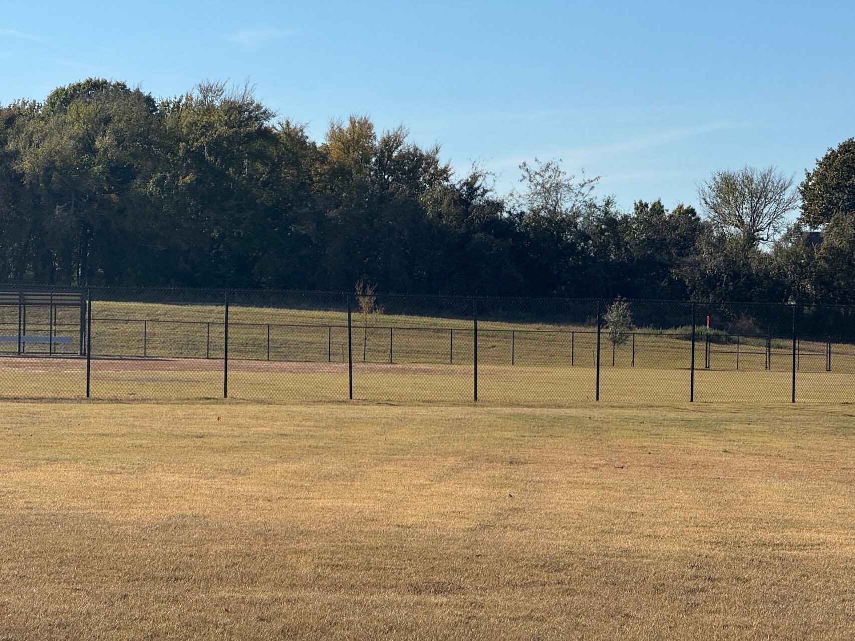 Building Photo - 12169 Steeplechase Dr