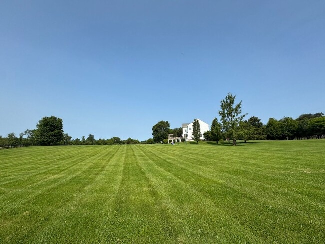 Building Photo - Fantastic 4 Bed 2.5 Bath Single Family Hom...