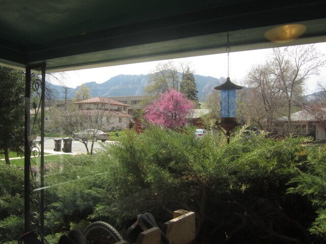 Building Photo - 3 Bed 2 Bath Martin Acres Home With Large Backyard & Flatiron Views!