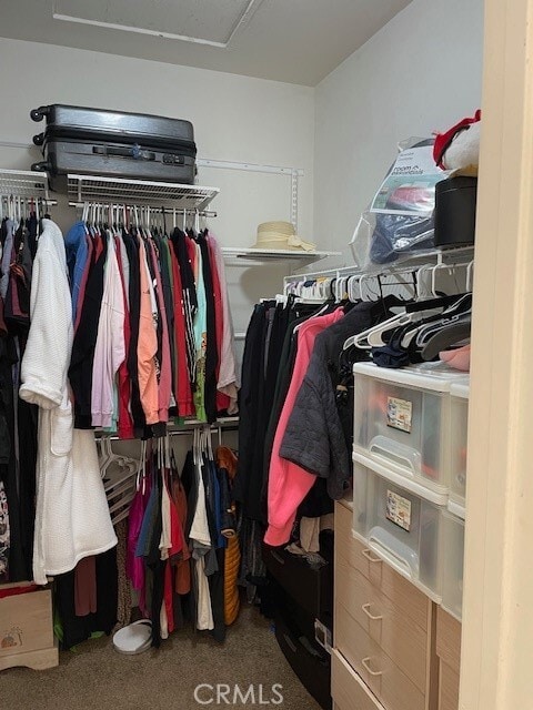 Building Photo - 34593 Princeton Dr