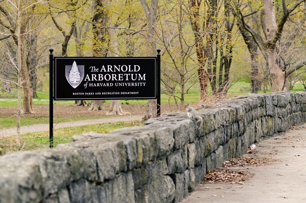 Building Photo - 840 South St