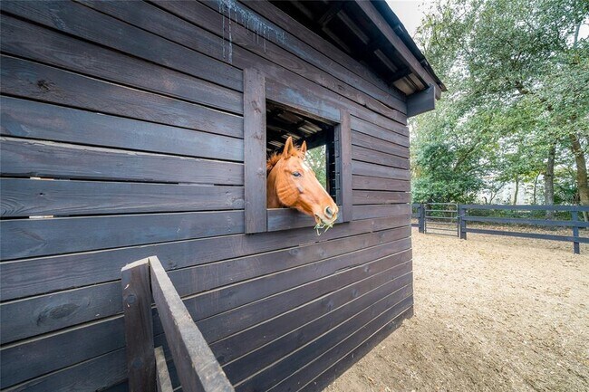 Building Photo - 8540 Boyt Rd