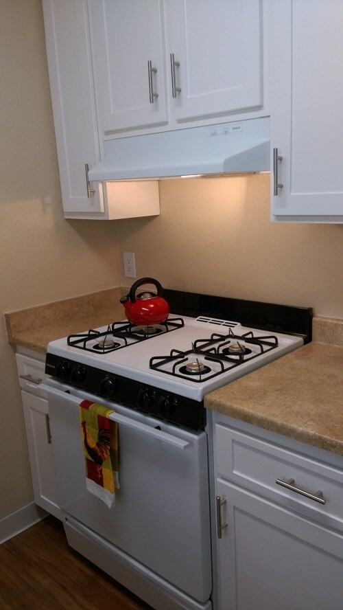 Gas stove - 3943 Southampton Ter