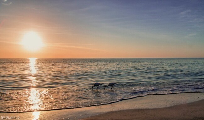 Building Photo - 5 Bluebill Ave