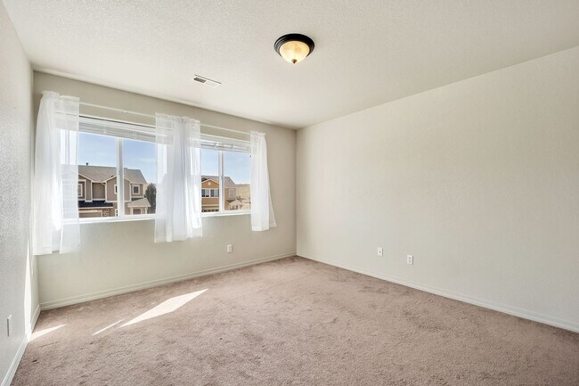Building Photo - Academy School District 20 Home Available NOW!
