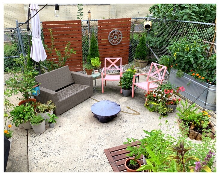 Back yard - 113 Edison Ave