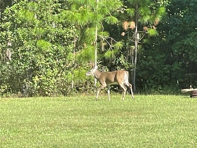 Building Photo - 11956 Neal Rd
