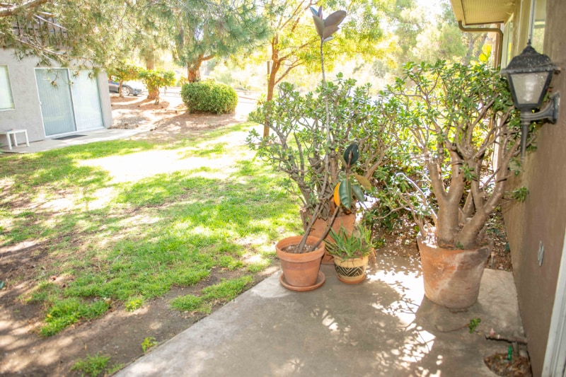 Building Photo - 6380 Caminito Telmo