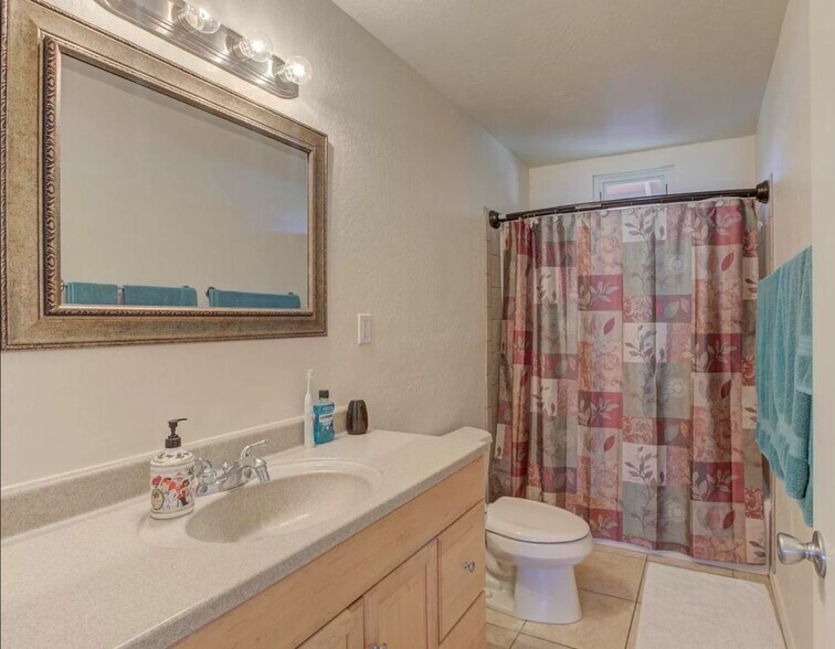 upstairs bathroom - 221 E Pine St