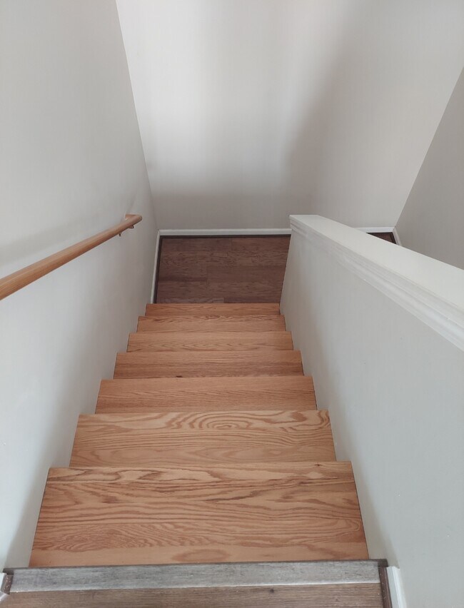 Building Photo - 2006 Rashid Ct