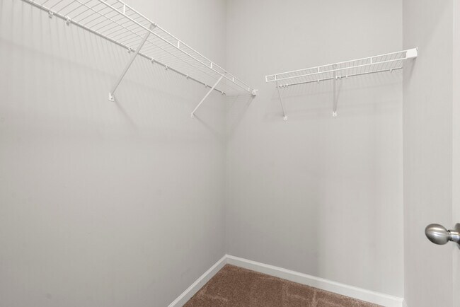 Building Photo - Townhouse - 4 Beds - 4 Bath