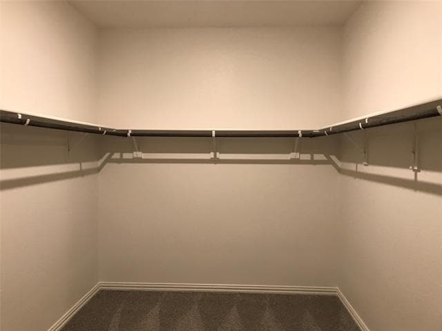 Building Photo - 1806 Canyon Ln