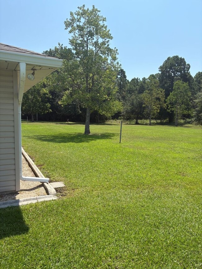 Building Photo - Waveland Duplex