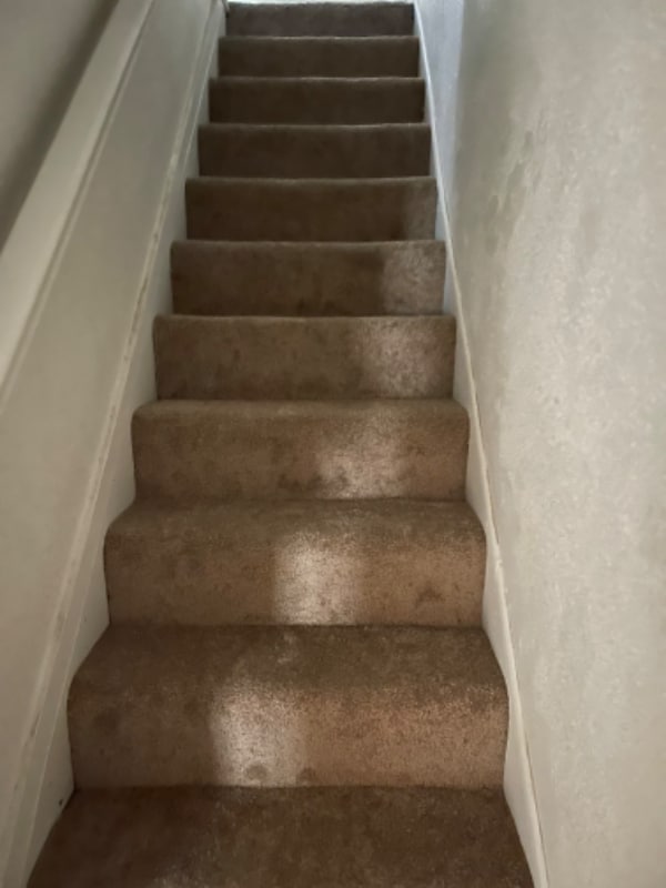 Building Photo - 1624 Park St