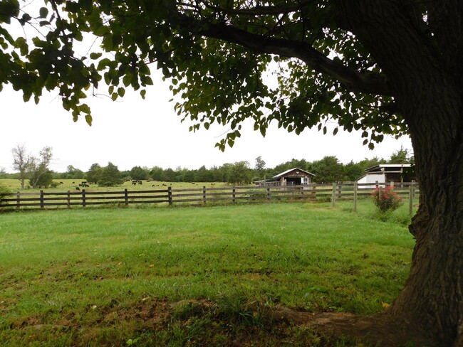 Building Photo - Location! Location! Location!