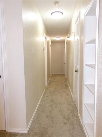 Building Photo - 3705 Greenhill Ln