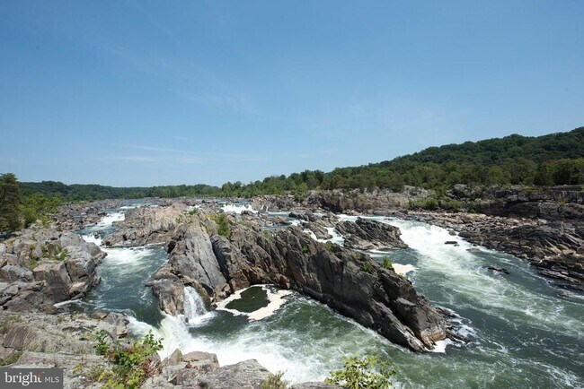 Building Photo - 11922 Holly Spring Dr