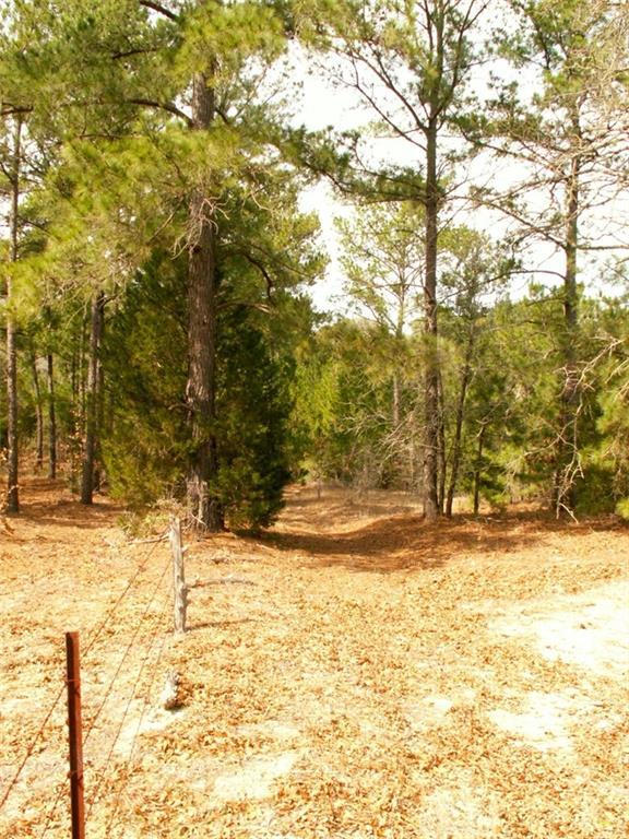 Building Photo - 143 Old Piney Trail