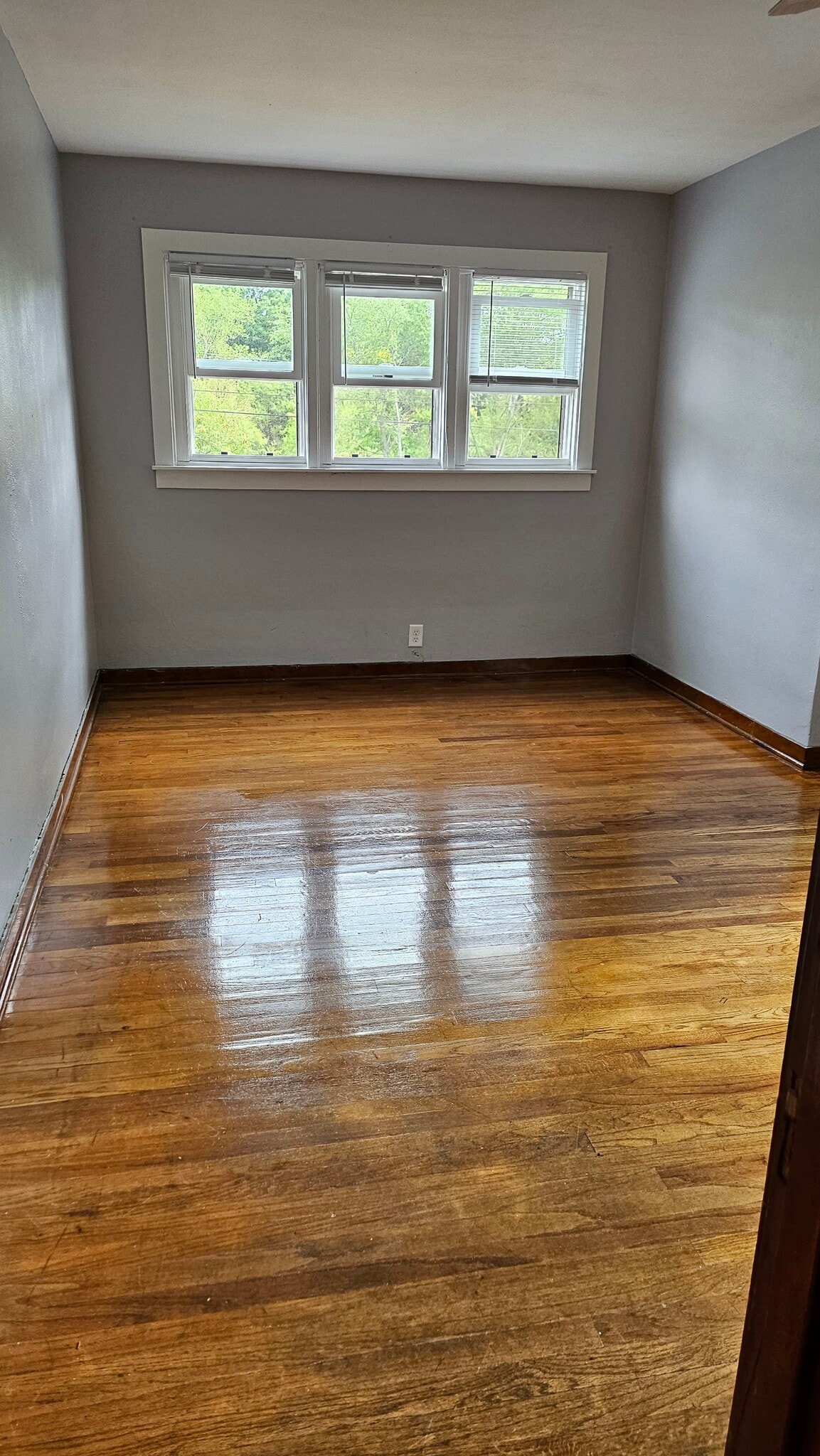 Building Photo - 2155 W 9th Ave