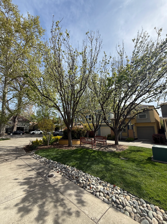 Building Photo - Beautiful Renovated Midtown Home!