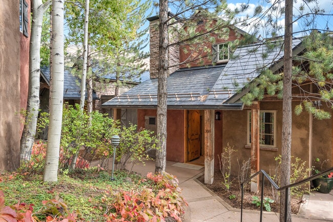 Building Photo - 306 Wild Spring Ln