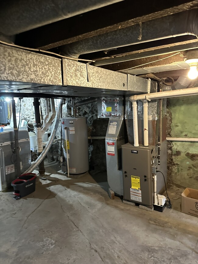Basement - 30 Columbia Ave