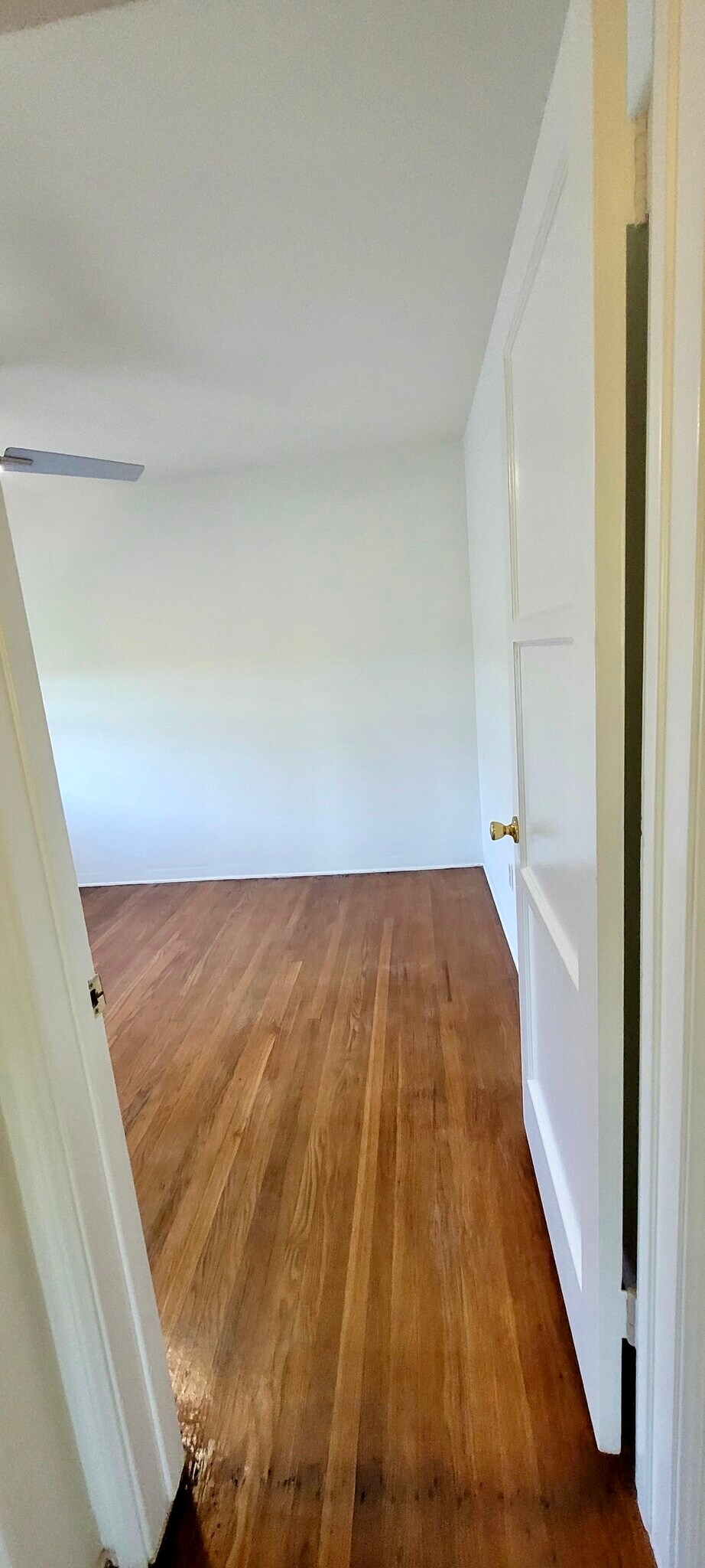 Building Photo - 4313 Mentone St