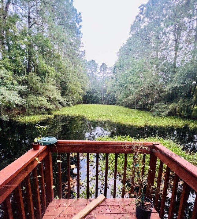 Building Photo - 302 Bernard Rd