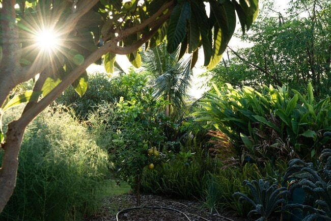 Building Photo - Elevated Haiku Retreat with Ocean Views, Designer Finishes & a Lush Edible Garden Sanctuary