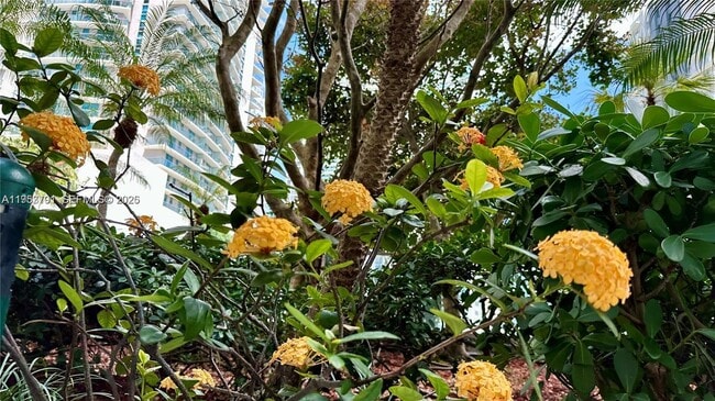 Building Photo - 79 SW 12th St