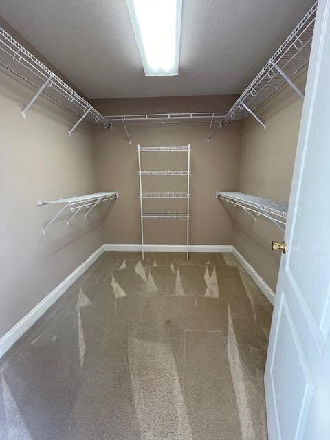 Building Photo - 854 Starbuck Dr