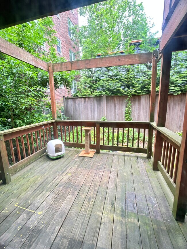 Building Photo - 199 Mount Auburn St