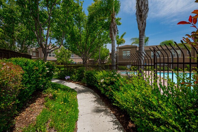 Building Photo - 1425 Caminito Borrego