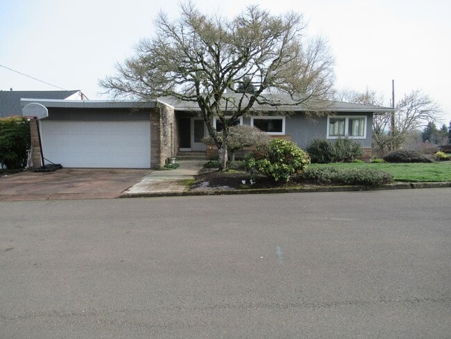 Building Photo - Mid-Century Four Bedroom in Candalaria