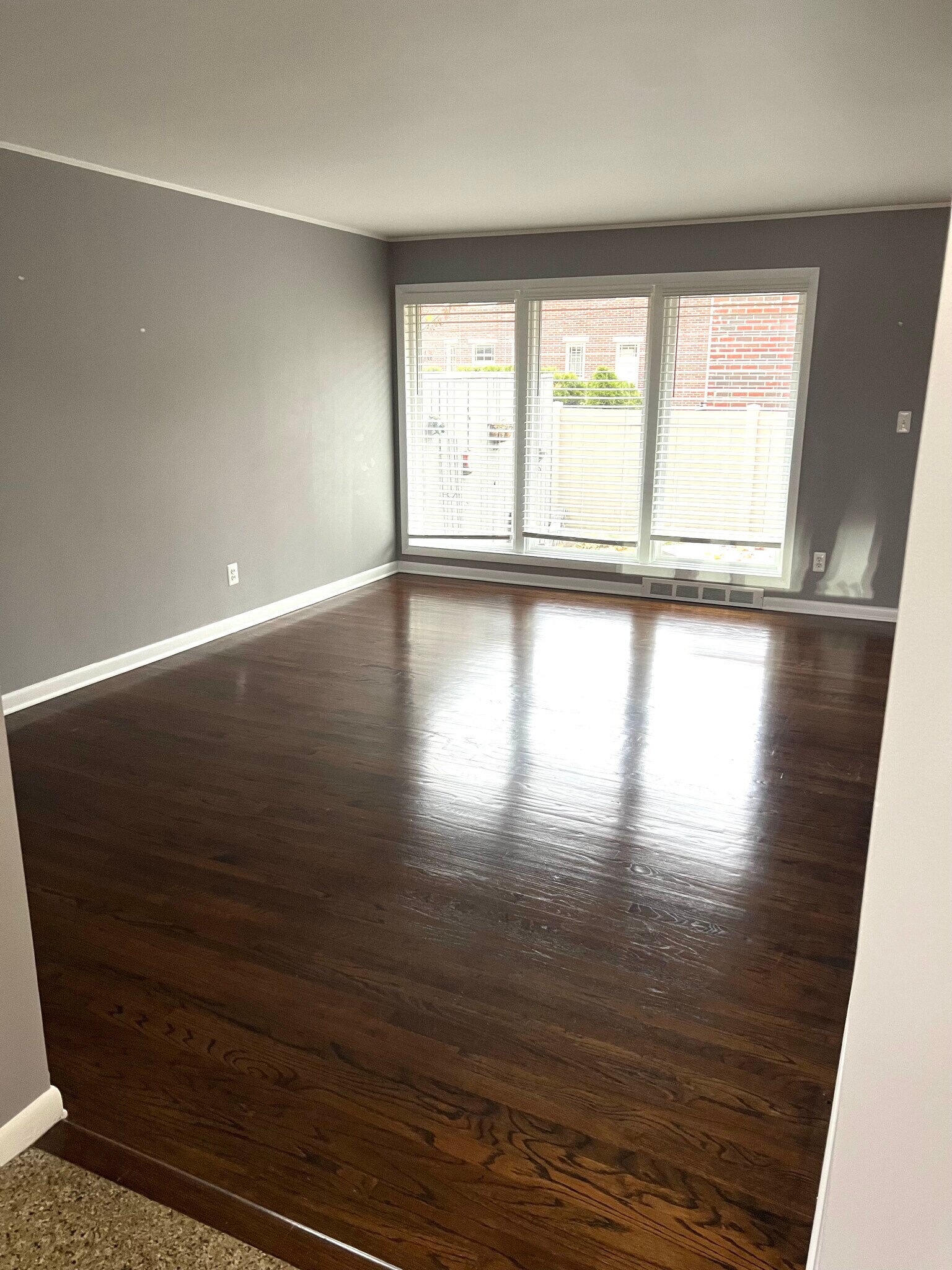 Building Photo - 556 Bloomfield Ct